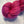 Merlo (au gramme)