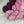 Poudre Rosa (au gramme)