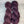 Prune Sauvage (au gramme)