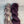Prune Sauvage (au gramme)