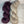 Prune Sauvage (au gramme)