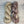 Prune Sauvage (au gramme)