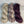 Prune Sauvage (au gramme)