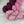 Rosa-Bourgo (au gramme)