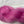 Rosette (au gramme)
