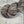 Taupe Marine (au gramme)