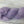 Violette Africaine (au gramme)