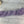 Violette Africaine (au gramme)