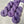 Violette Africaine (au gramme)