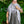 Ensemble patron Dryade