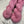 Candy Pink