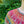 Ensemble patron Cisterna