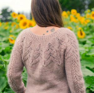 Ensemble patron Lace delight sweater