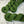 Vert Noël (au gramme)