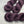 Prune Sauvage (au gramme)