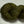 Malou Worsted