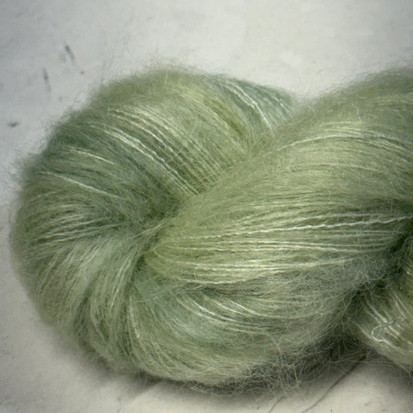 Eucalyptus
