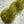 Feuillage Vert