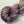 Astible (au gramme)