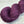 Plum (au gramme)