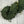 Feuillage Vert