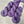 Violette Africaine