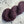 Plum (au gramme)