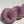 Lilas Japonais