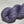 Violette Africaine