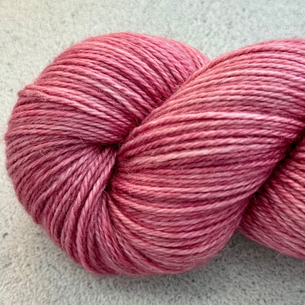 ROSE D'ÉPOQUE
