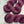 Plum (au gramme)