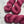 Vignoble (au gramme)