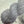 Gris Lunaire