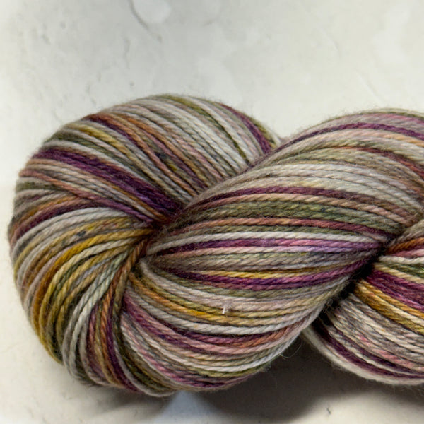 Pétunia