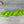 Vert fluo