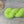 Bébé Vert fluo